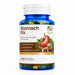 Stomach Fix Herbal Capsules